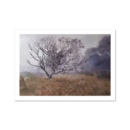 Summer mist at Dinner Plain | Print Prints Harriet Lawless Artist australia A3 / 16.5"x12" Unframed