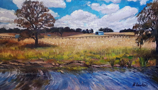 Along the Wingecarribee River | Original Painting Original Paintings Harriet Lawless Artist australia