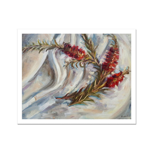 Bottlebrush On White Cloth | Print Prints Harriet Lawless Artist australia flowers still life 20"x16" / 51x41cm Unframed