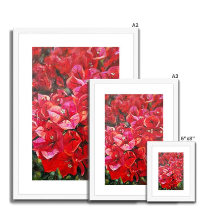 Bougainvillea | Print Prints Harriet Lawless Artist flowers greece A3 / 12"x16.5" Natural Frame