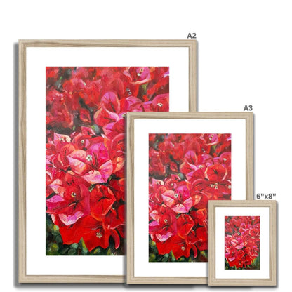 Bougainvillea | Print Prints Harriet Lawless Artist flowers greece A3 / 12"x16.5" Natural Frame