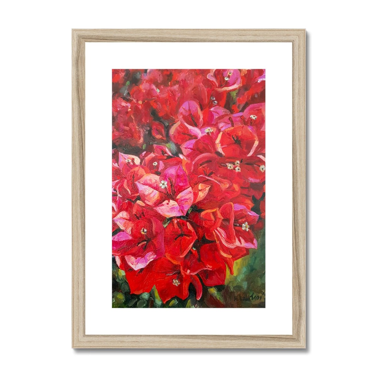 Bougainvillea | Print Prints Harriet Lawless Artist flowers greece A3 / 12"x16.5" Natural Frame