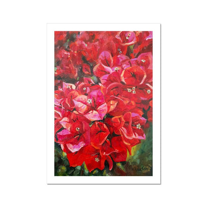 Bougainvillea | Print Prints Harriet Lawless Artist flowers greece A3 / 12"x16.5" Unframed