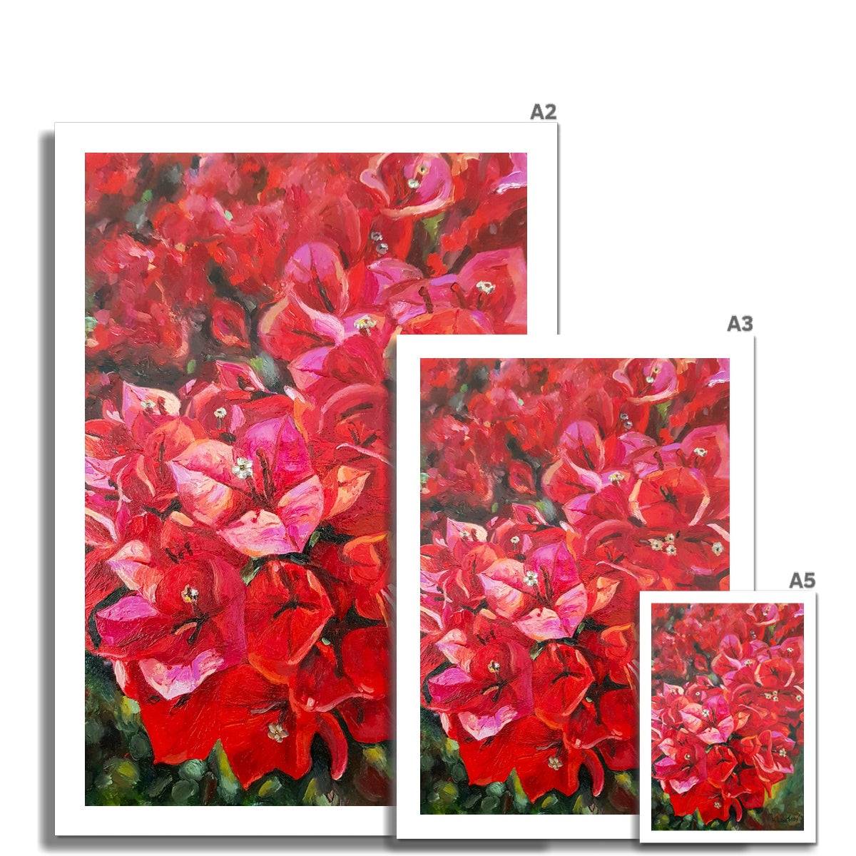 Bougainvillea | Print Prints Harriet Lawless Artist flowers greece A3 / 12"x16.5" Unframed