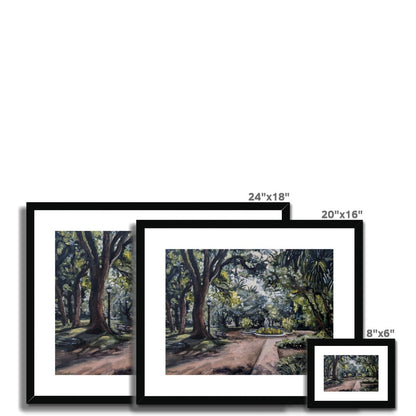 Early Evening In The Buenos Aires Botanical Garden | Print Prints Harriet Lawless Artist argentina 20"x16" / 51x41cm Natural Frame