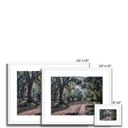 Early Evening In The Buenos Aires Botanical Garden | Print Prints Harriet Lawless Artist argentina 20"x16" / 51x41cm Natural Frame