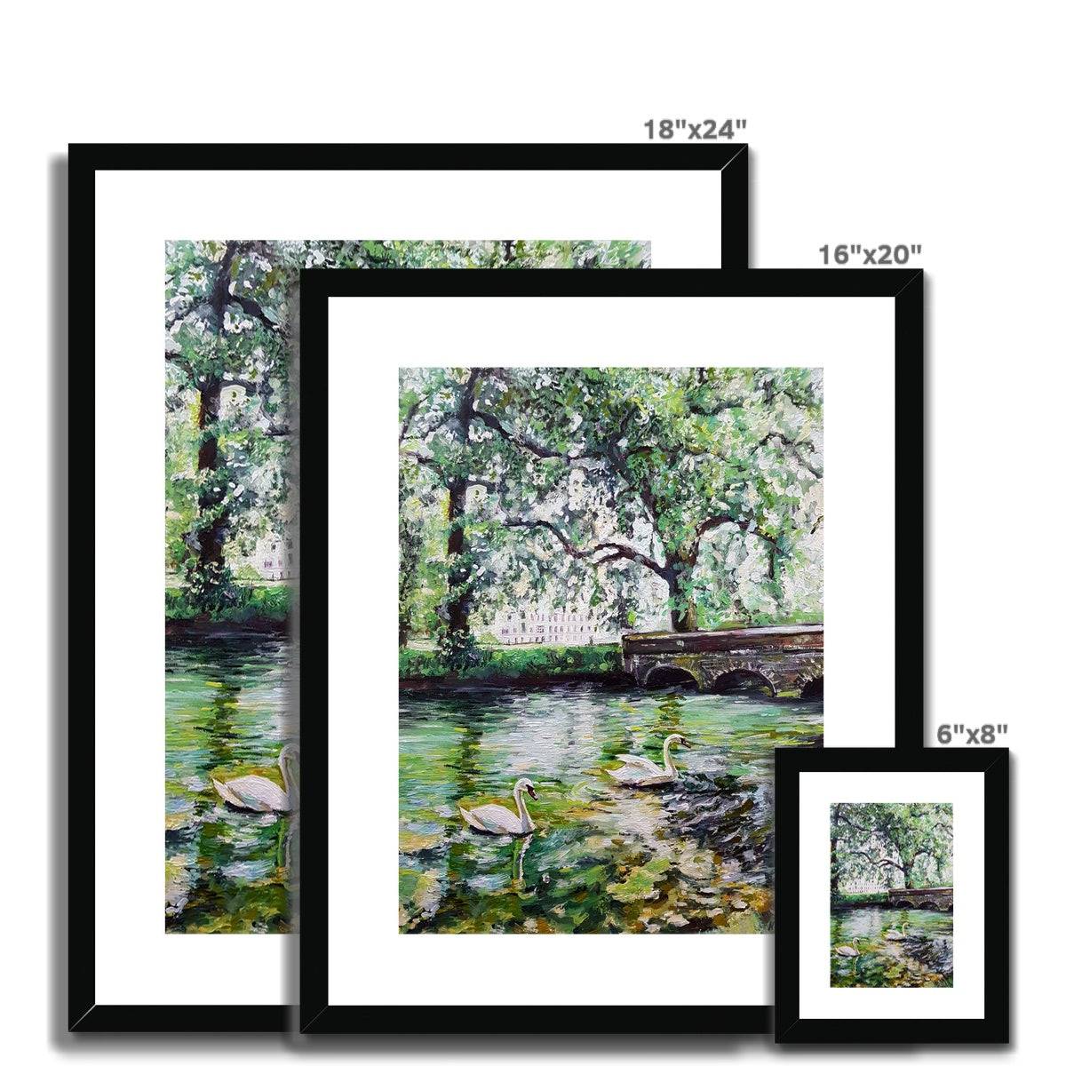 Green Pond Swans | Print Prints Harriet Lawless Artist england 16"x20" / 41x51cm Natural Frame