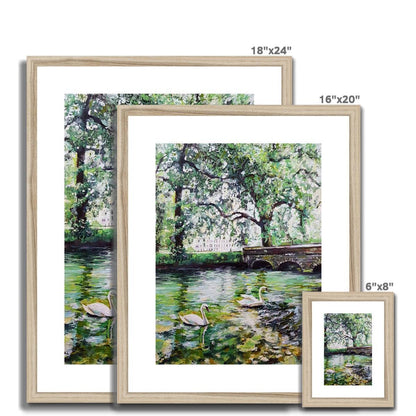 Green Pond Swans | Print Prints Harriet Lawless Artist england 16"x20" / 41x51cm Natural Frame