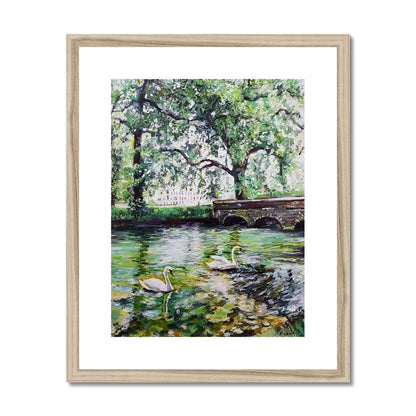 Green Pond Swans | Print Prints Harriet Lawless Artist england 16"x20" / 41x51cm Natural Frame