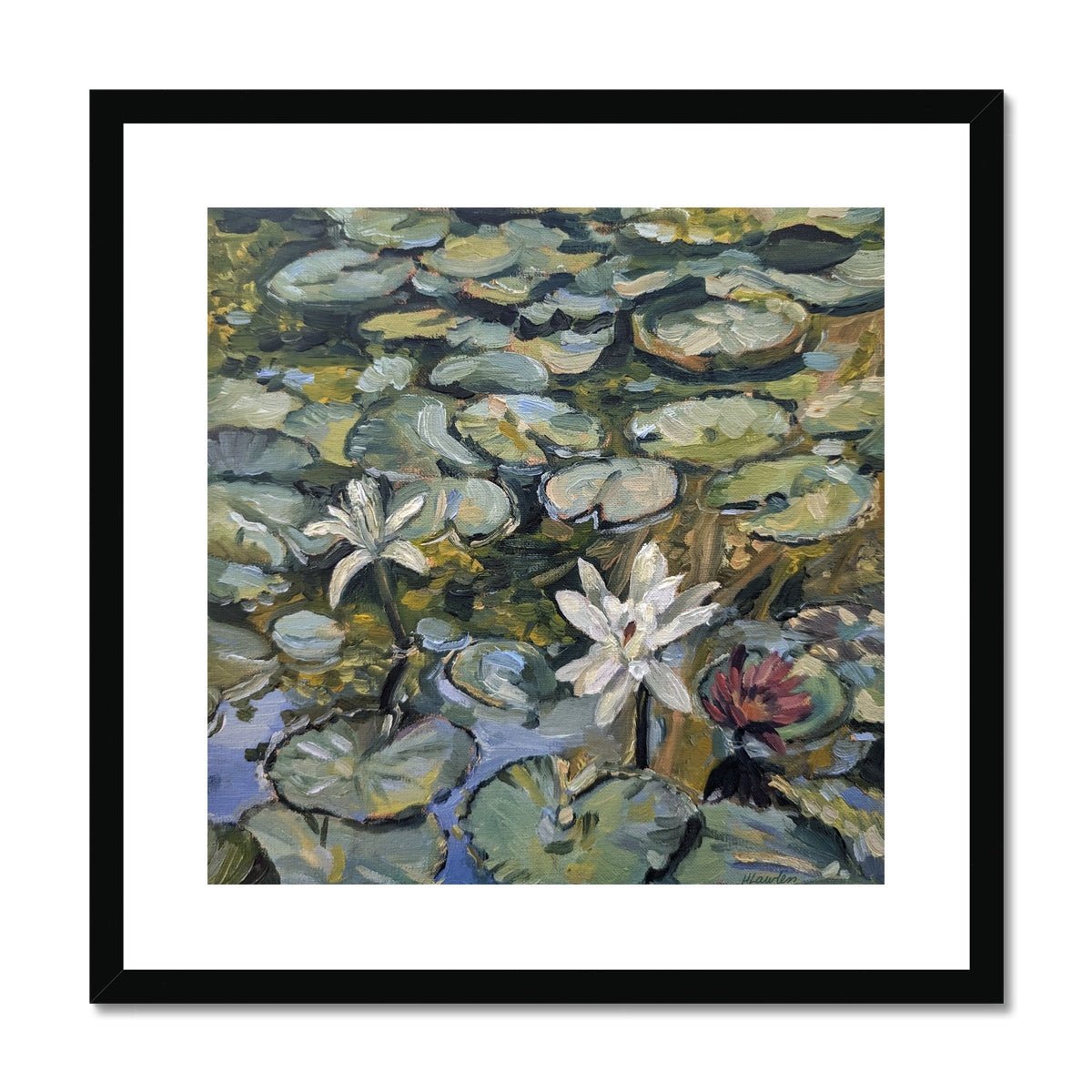 Lilies In Bloom | Print Prints Harriet Lawless Artist argentina flowers 20"x20" / 51x51cm Black Frame