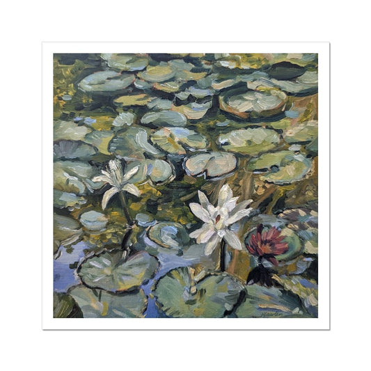 Lilies In Bloom | Print Prints Harriet Lawless Artist argentina flowers 20"x20" / 51x51cm Unframed