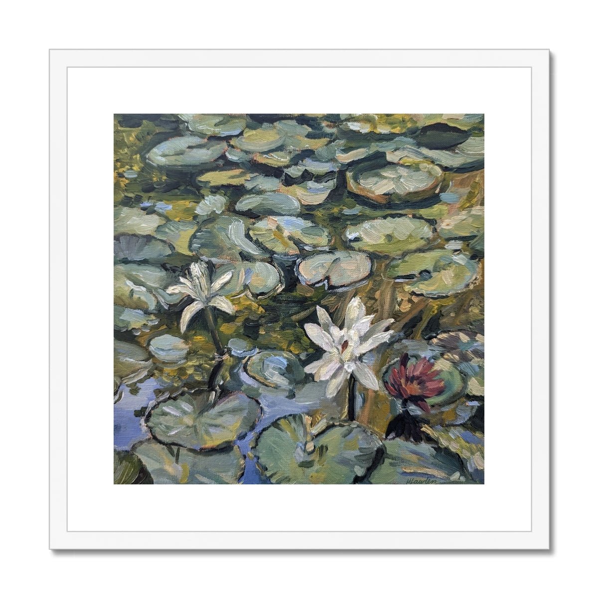 Lilies In Bloom | Print Prints Harriet Lawless Artist argentina flowers 20"x20" / 51x51cm White Frame