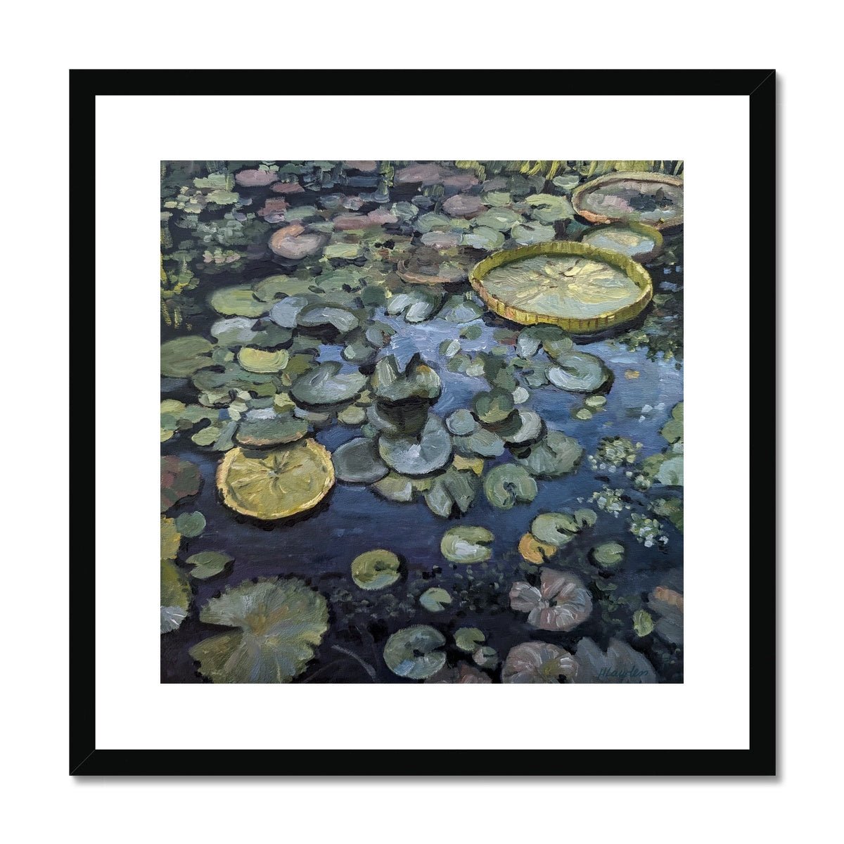 Lily Pads On Blue Waters | Print Prints Harriet Lawless Artist argentina flowers 20"x20" / 51x51cm Black Frame