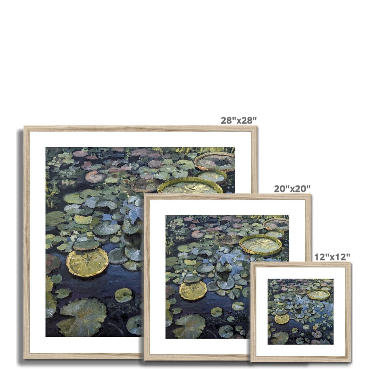 Lily Pads On Blue Waters | Print Prints Harriet Lawless Artist argentina flowers 20"x20" / 51x51cm Natural Frame