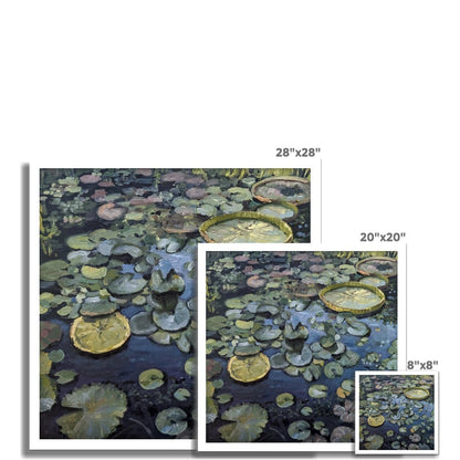 Lily Pads On Blue Waters | Print Prints Harriet Lawless Artist argentina flowers 20"x20" / 51x51cm Unframed