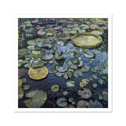 Lily Pads On Blue Waters | Print Prints Harriet Lawless Artist argentina flowers 20"x20" / 51x51cm Unframed