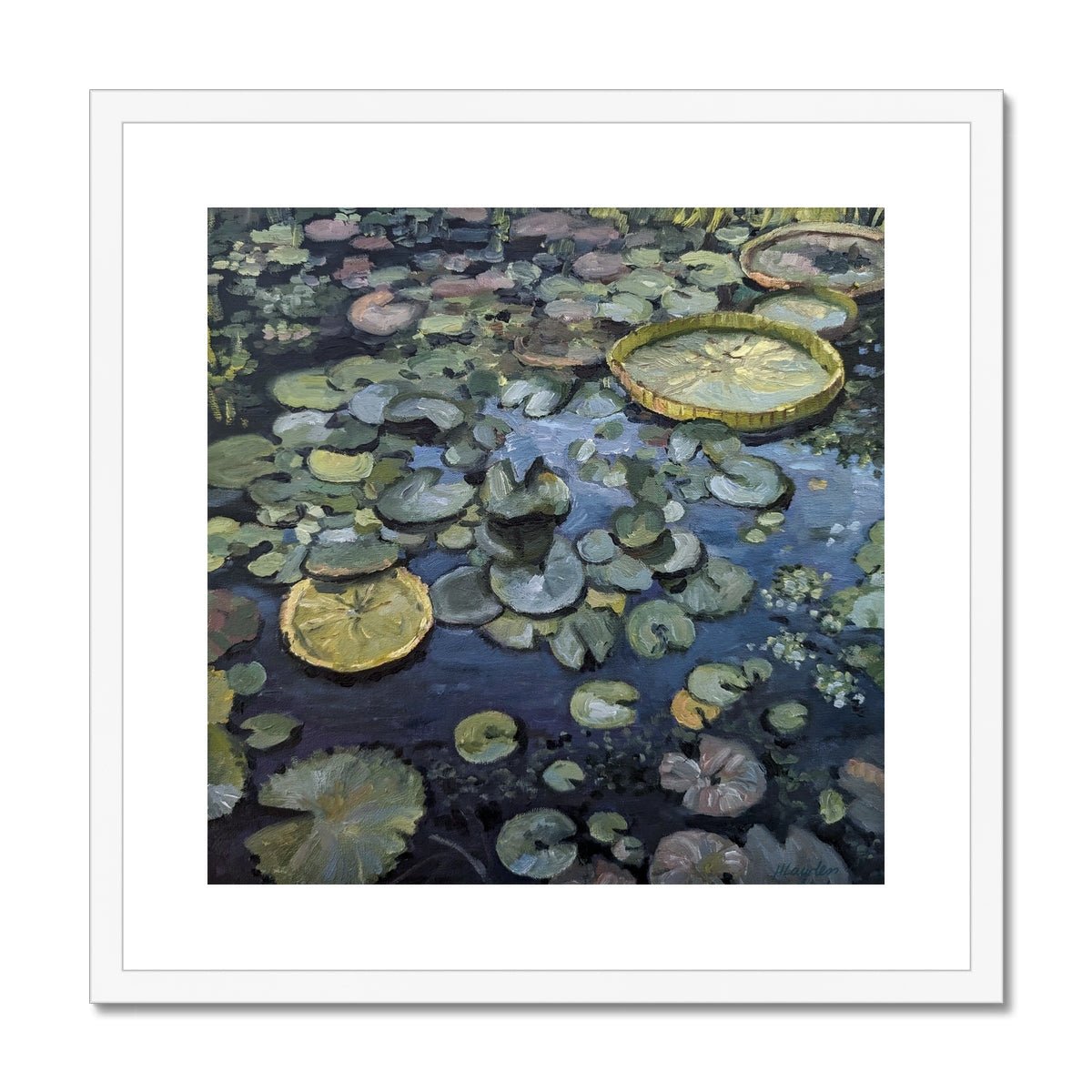 Lily Pads On Blue Waters | Print Prints Harriet Lawless Artist argentina flowers 20"x20" / 51x51cm White Frame