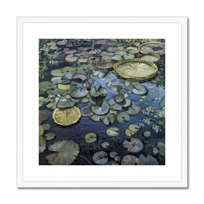 Lily Pads On Blue Waters | Print Prints Harriet Lawless Artist argentina flowers 20"x20" / 51x51cm White Frame