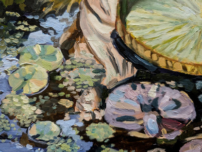 Lily Pond Reflections | Original Painting Original Paintings Harriet Lawless Artist argentina flowers still life