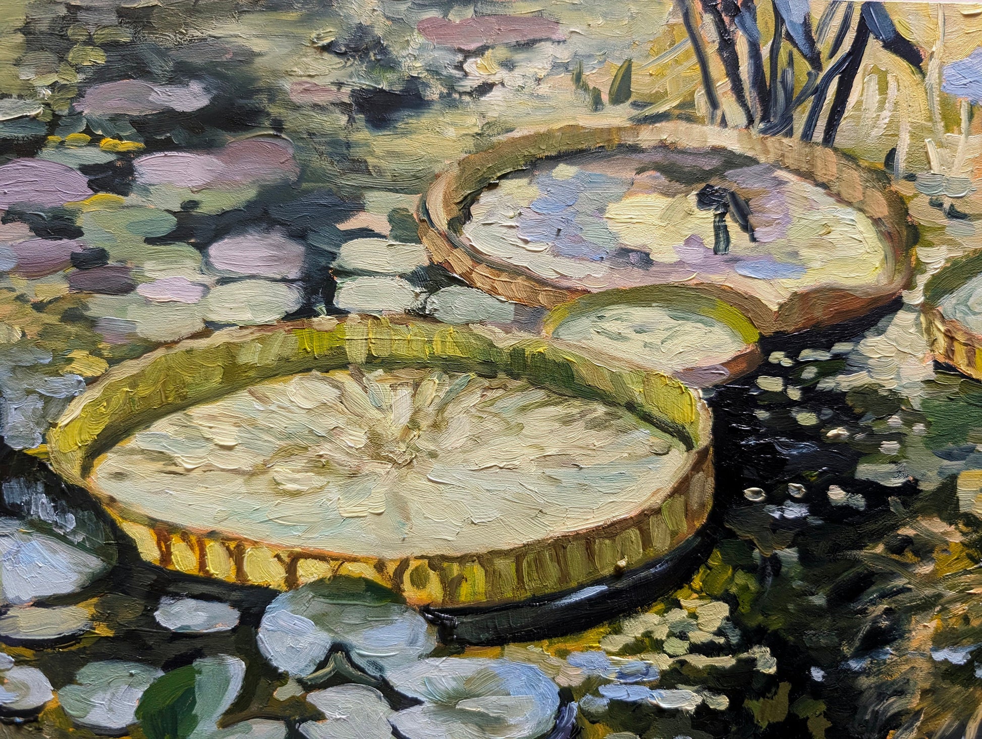 Lily Pond Reflections | Original Painting Original Paintings Harriet Lawless Artist argentina flowers still life