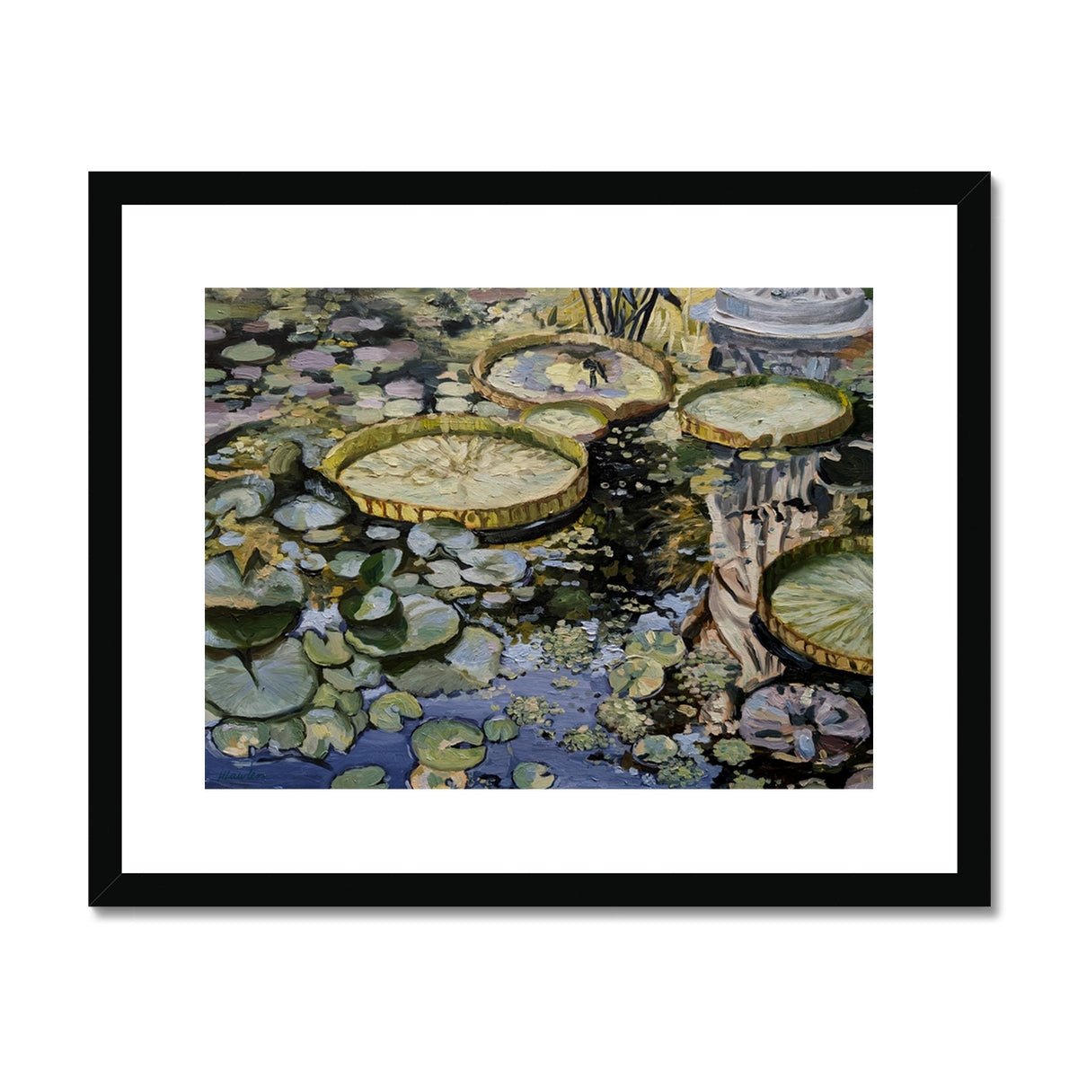 Lily Pond Reflections | Print Prints Harriet Lawless Artist argentina flowers 20"x16" / 51x41cm Black Frame