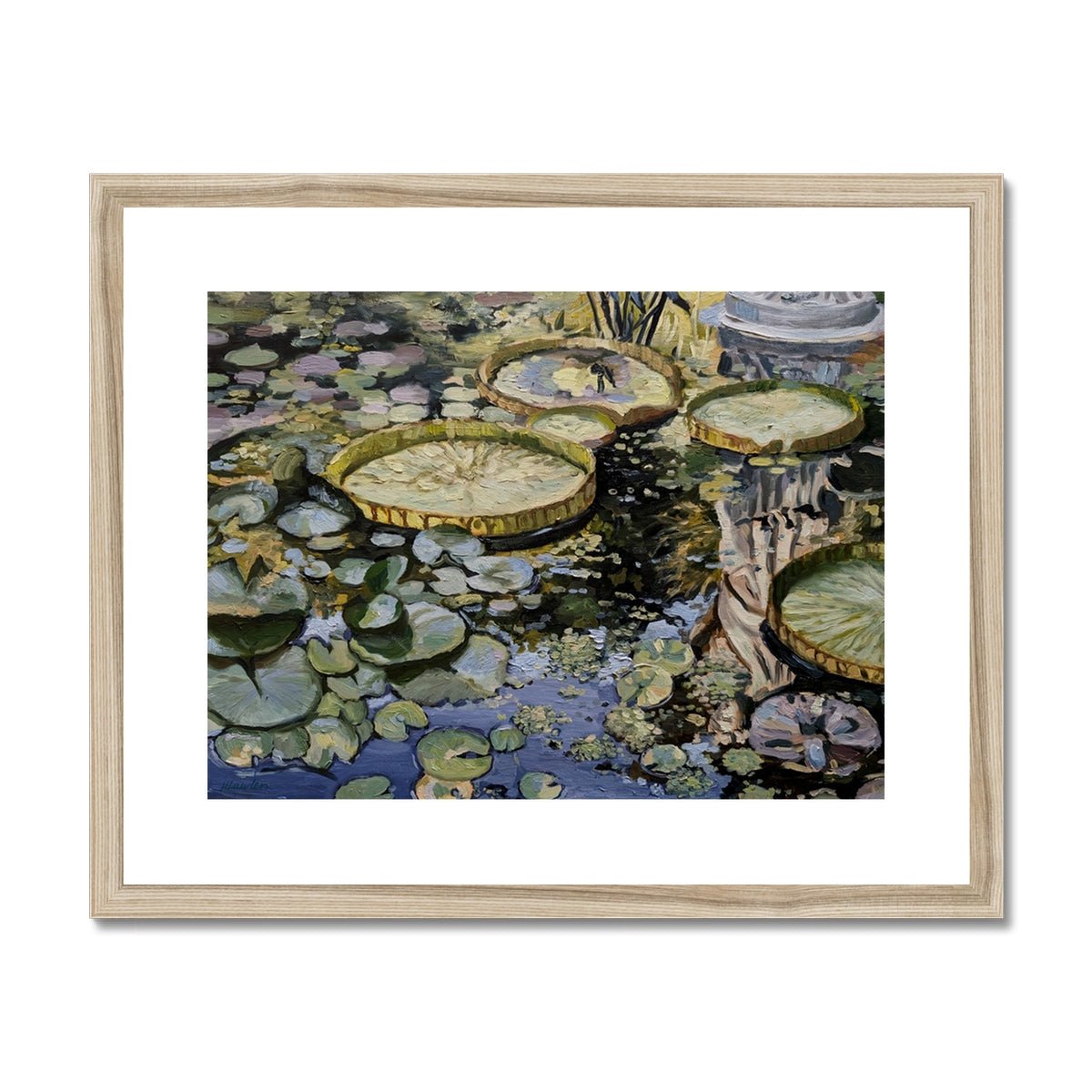 Lily Pond Reflections | Print Prints Harriet Lawless Artist argentina flowers 20"x16" / 51x41cm Natural Frame