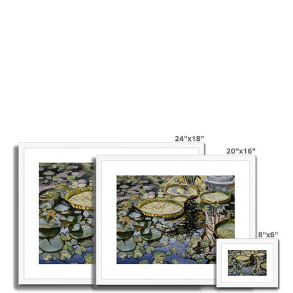 Lily Pond Reflections | Print Prints Harriet Lawless Artist argentina flowers 20"x16" / 51x41cm Natural Frame