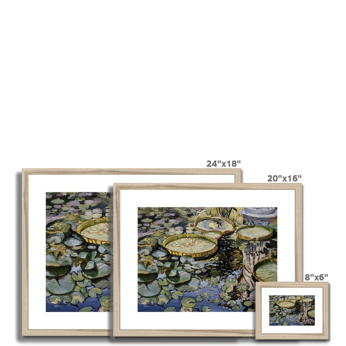 Lily Pond Reflections | Print Prints Harriet Lawless Artist argentina flowers 20"x16" / 51x41cm Natural Frame