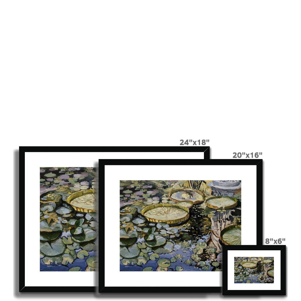 Lily Pond Reflections | Print Prints Harriet Lawless Artist argentina flowers 20"x16" / 51x41cm Natural Frame