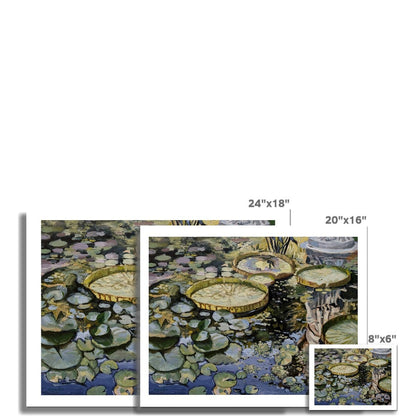 Lily Pond Reflections | Print Prints Harriet Lawless Artist argentina flowers 20"x16" / 51x41cm Unframed