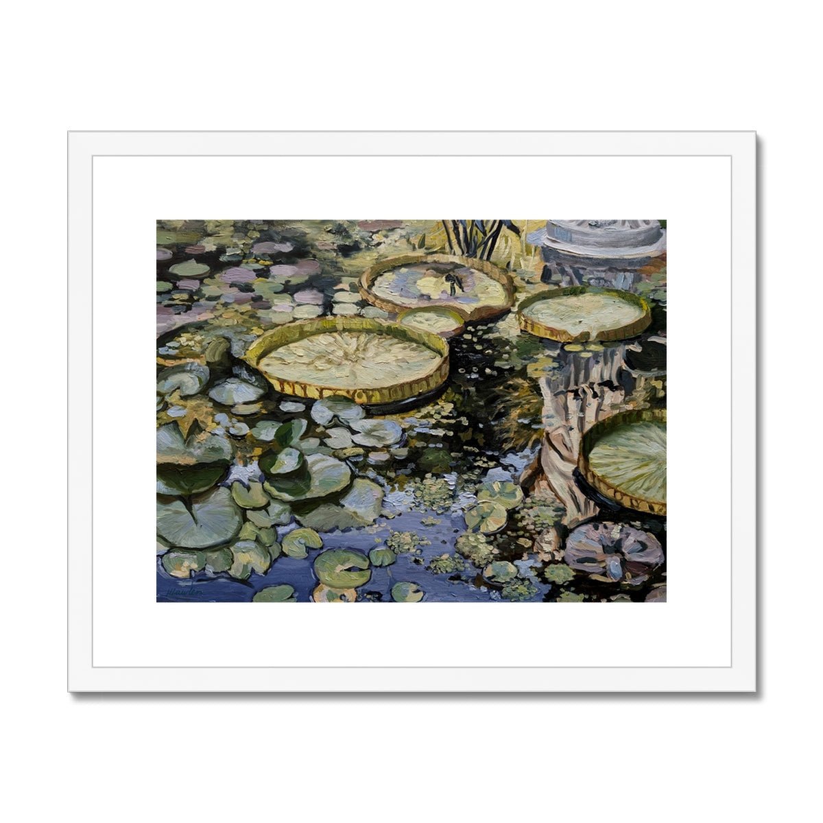 Lily Pond Reflections | Print Prints Harriet Lawless Artist argentina flowers 20"x16" / 51x41cm White Frame