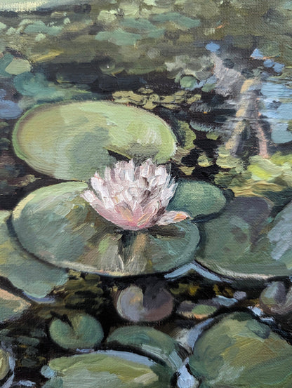 Lotus Flower, Illuminated | Original Painting Original Paintings Harriet Lawless Artist argentina still life