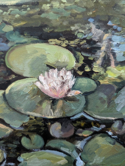 Lotus Flower, Illuminated | Original Painting Original Paintings Harriet Lawless Artist argentina flowers still life