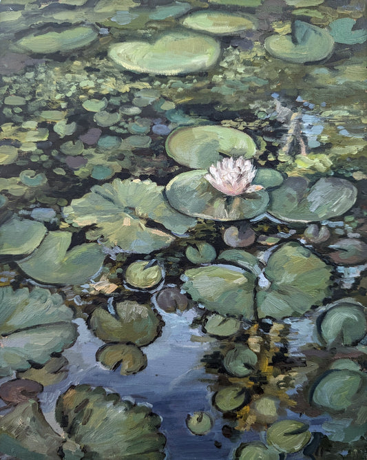 Lotus Flower, Illuminated | Original Painting Original Paintings Harriet Lawless Artist argentina still life