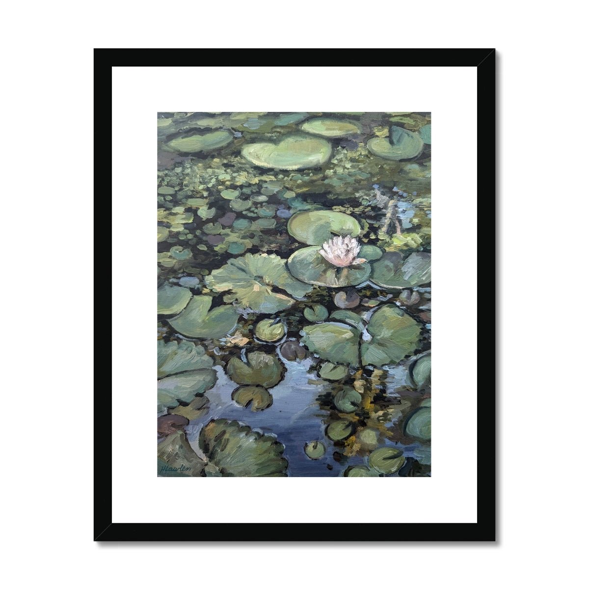 Lotus Flower, Illuminated | Print Prints Harriet Lawless Artist argentina flowers 16"x20" / 41x51cm Black Frame