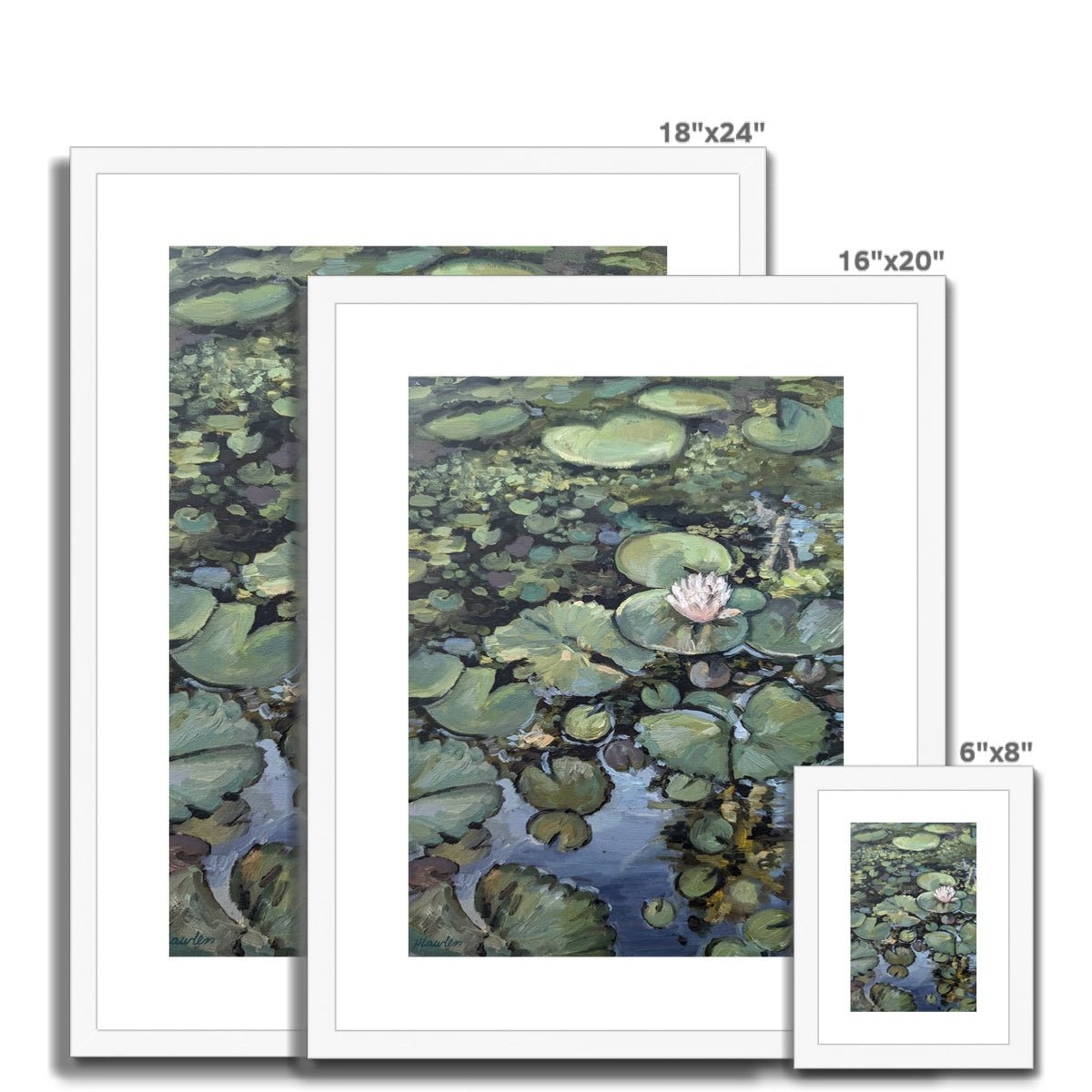 Lotus Flower, Illuminated | Print Prints Harriet Lawless Artist argentina flowers 16"x20" / 41x51cm Natural Frame