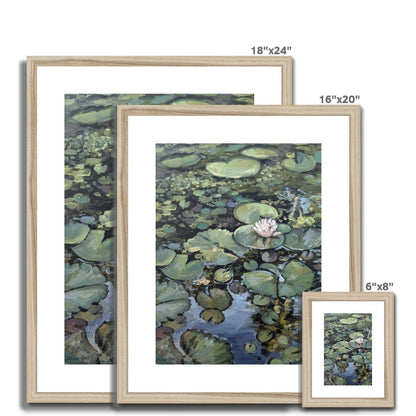 Lotus Flower, Illuminated | Print Prints Harriet Lawless Artist argentina flowers 16"x20" / 41x51cm Natural Frame