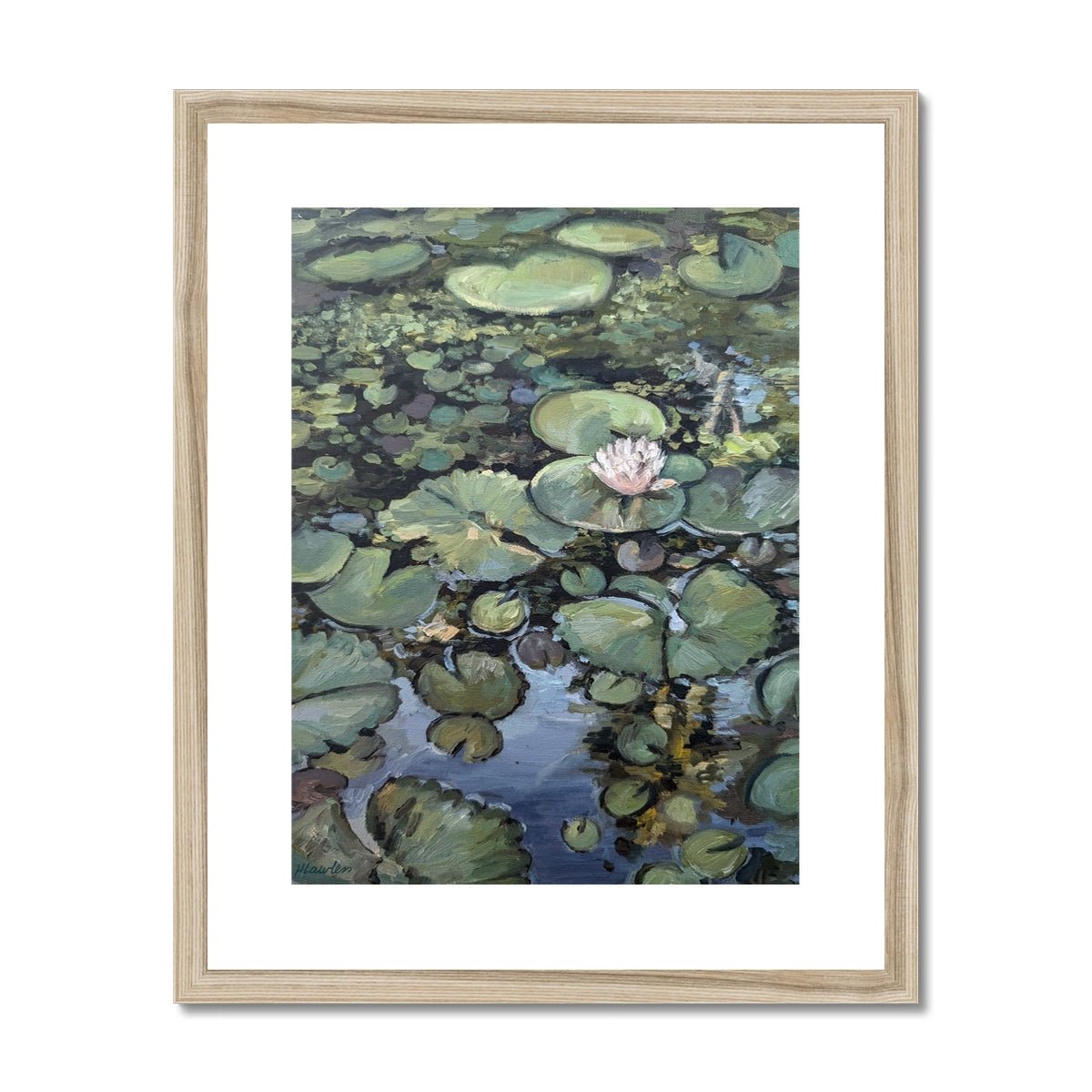 Lotus Flower, Illuminated | Print Prints Harriet Lawless Artist argentina flowers 16"x20" / 41x51cm Natural Frame