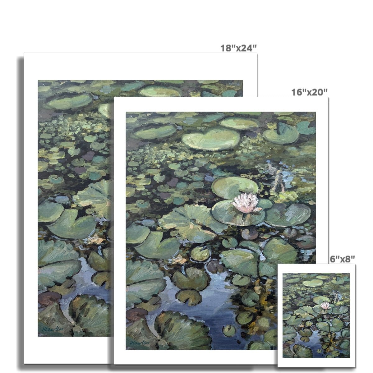 Lotus Flower, Illuminated | Print Prints Harriet Lawless Artist argentina flowers 16"x20" / 41x51cm Unframed