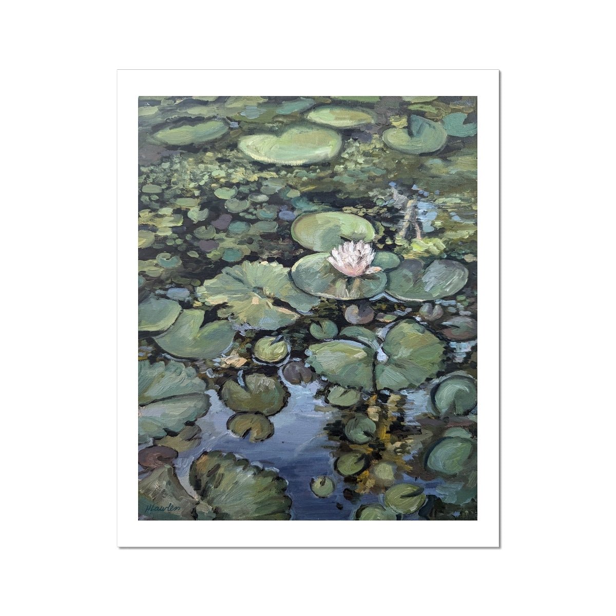 Lotus Flower, Illuminated | Print Prints Harriet Lawless Artist argentina flowers 16"x20" / 41x51cm Unframed