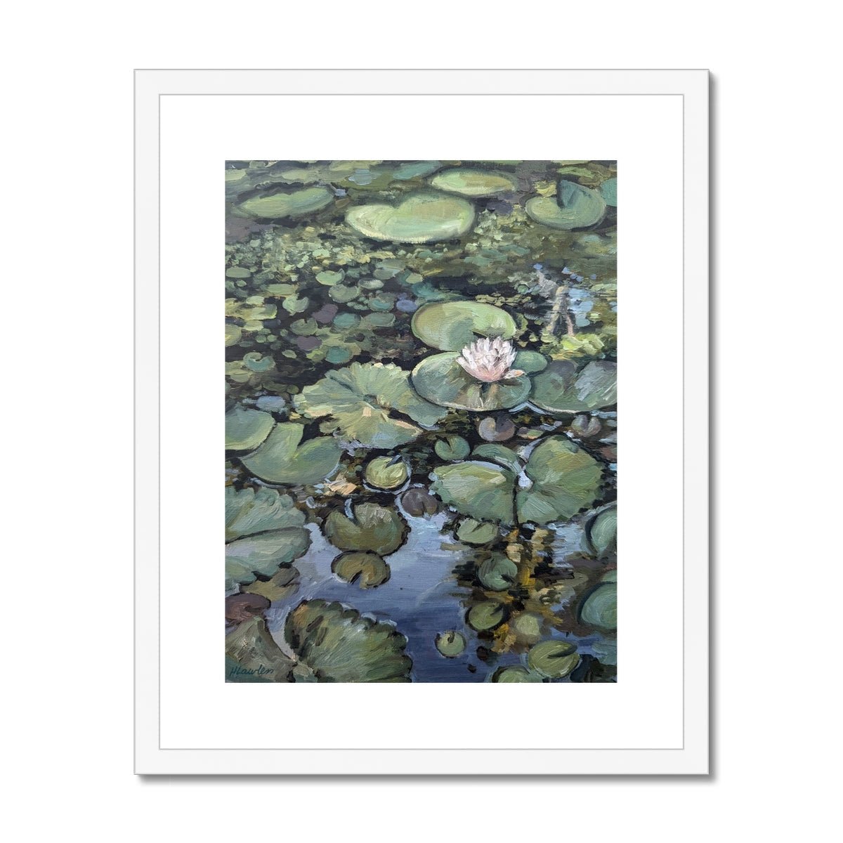 Lotus Flower, Illuminated | Print Prints Harriet Lawless Artist argentina flowers 16"x20" / 41x51cm White Frame