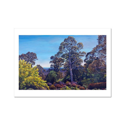 Morning View From Mount Gibraltar | Print Prints Harriet Lawless Artist australia A3 / 16.5"x12" Unframed