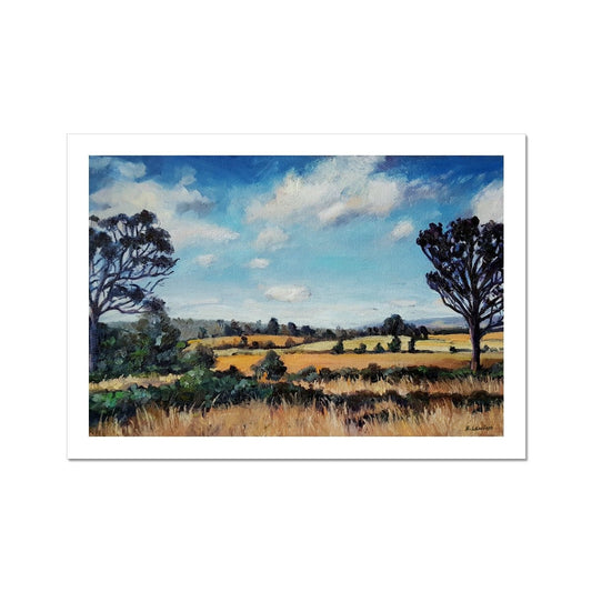 Out the back of Mittagong | Print Prints Harriet Lawless Artist australia A3 / 16.5"x12" Unframed