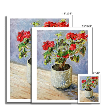 Potted Red Geranium | Print Prints Harriet Lawless Artist flowers still life 16"x20" / 41x51cm Unframed