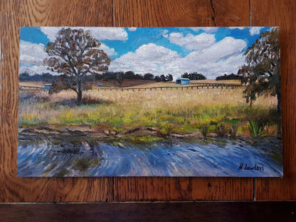 Along the Wingecarribee River | Original Painting Original Paintings Harriet Lawless Artist australia
