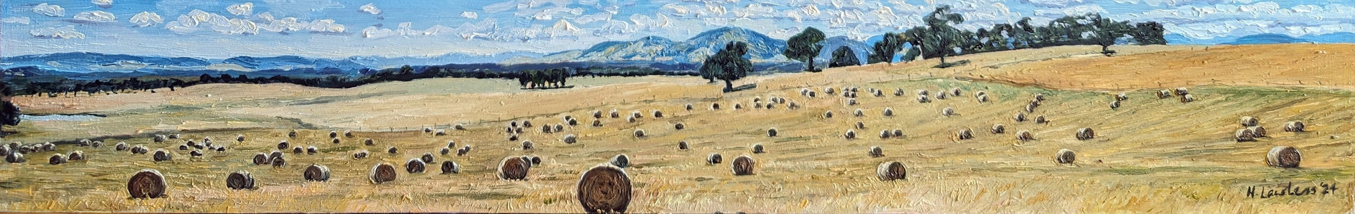 Amber Panorama; Australian Countryside | Original Painting Original Paintings Harriet Lawless Artist australia