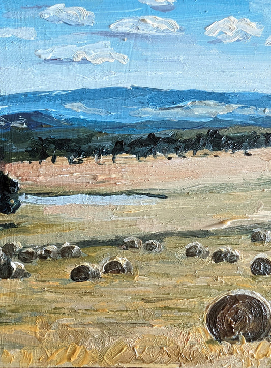 Amber Panorama; Australian Countryside | Original Painting Original Paintings Harriet Lawless Artist australia