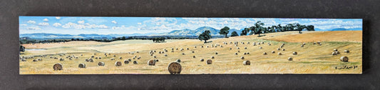 Amber Panorama; Australian Countryside | Original Painting Original Paintings Harriet Lawless Artist australia