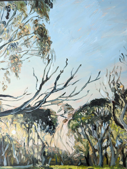 Dawn Blues At Dinner Plain | Original Painting Original Paintings Harriet Lawless Artist australia