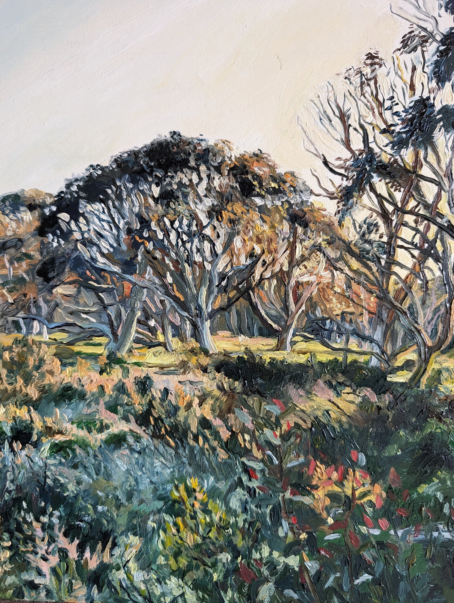Dawn's Vibrant Palette at Dinner Plain | Original Painting Original Paintings Harriet Lawless Artist australia